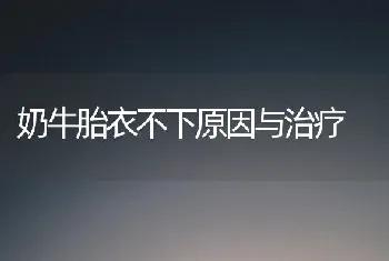 奶牛胎衣不下原因与治疗