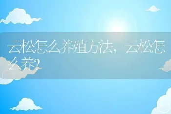 云松怎么养殖方法