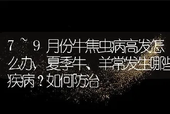 7~9月份牛焦虫病高发怎么办