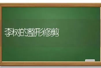 李树的整形修剪