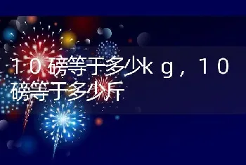 10磅等于多少kg,10磅等于多少斤