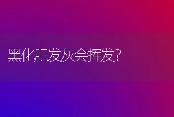 黑化肥发灰会挥发?