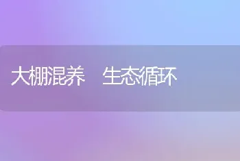 大棚混养 生态循环