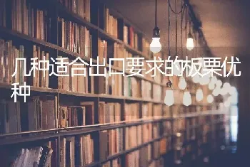 几种适合出口要求的板栗优种