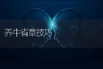 养牛省草技巧