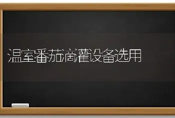 温室番茄滴灌设备选用