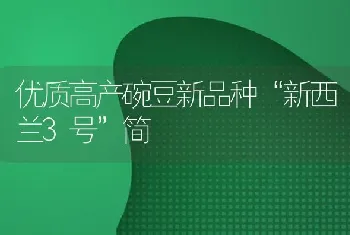 优质高产碗豆新品种“新西兰3号”简