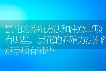 昙花的养殖方法和注意事项有哪些