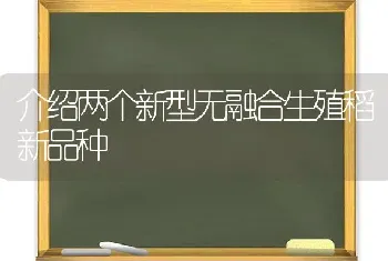 介绍两个新型无融合生殖稻新品种