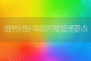 斑节对虾早期养殖管理要点