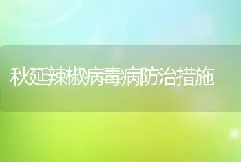 秋延辣椒病毒病防治措施