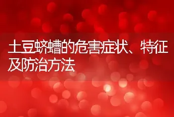 土豆蛴螬的危害症状、特征及防治方法