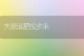 大葱追肥按步来