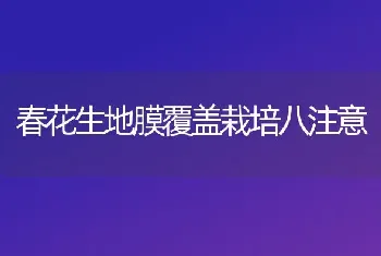 春花生地膜覆盖栽培八注意