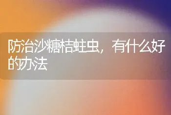 防治沙糖桔蛀虫,有什么好的办法