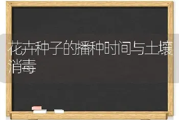 花卉种子的播种时间与土壤消毒