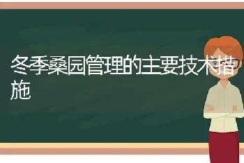 冬季桑园管理的主要技术措施