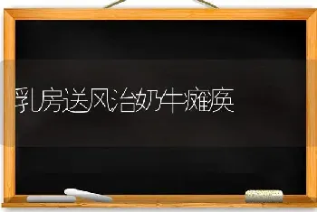 乳房送风治奶牛瘫痪