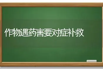 作物遇药害要对症补救