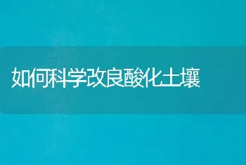 如何科学改良酸化土壤