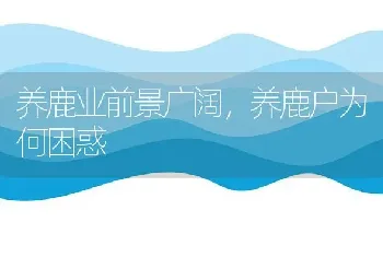 养鹿业前景广阔,养鹿户为何困惑