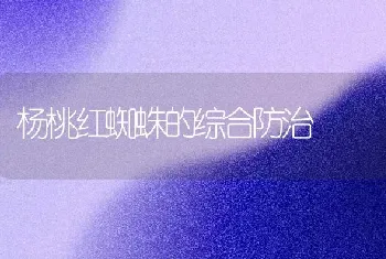 杨桃红蜘蛛的综合防治