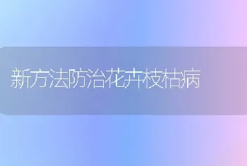 新方法防治花卉枝枯病