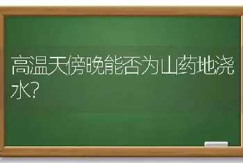 高温天傍晚能否为山药地浇水?