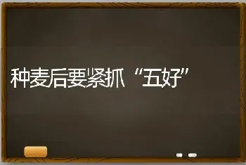 种麦后要紧抓“五好”