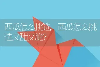 西瓜怎么挑选