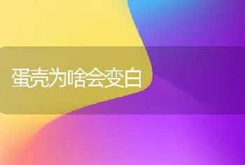 蛋壳为啥会变白