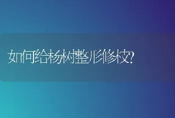 如何给杨树整形修枝?