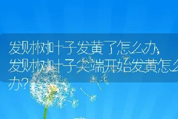 耳朵发热怎么回事