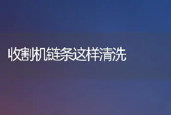 收割机链条这样清洗