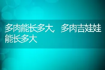 多肉能长多大