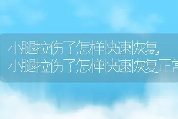 小腿拉伤了怎样快速恢复,小腿拉伤了怎样快速恢复正常