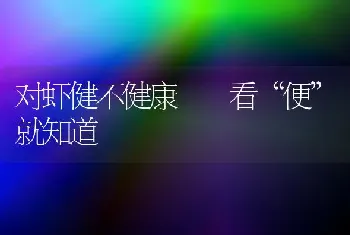 对虾健不健康  看“便”就知道