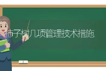 柿子树几项管理技术措施