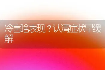 冷害啥表现?认清症状早缓解