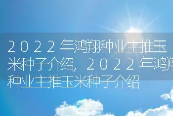 2022年鸿翔种业主推玉米种子介绍