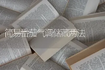 简易番茄气调储藏两法