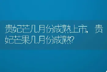 贵妃芒几月份成熟上市