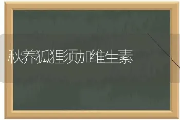 秋养狐狸须加维生素