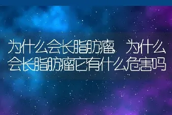 为什么会长脂肪瘤,为什么会长脂肪瘤它有什么危害吗