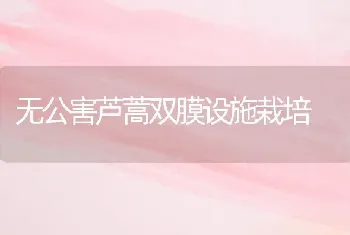 无公害芦蒿双膜设施栽培