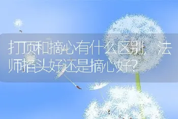 打顶和摘心有什么区别