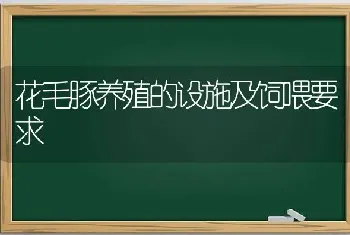 花毛豚养殖的设施及饲喂要求