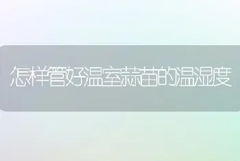 怎样管好温室蒜苗的温湿度