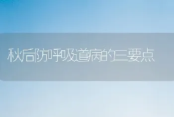 秋后防呼吸道病的三要点