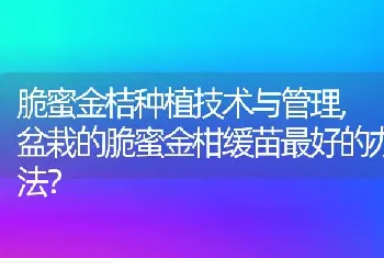 脆蜜金桔种植技术与管理